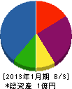 福岡総合開発 貸借対照表 2013年1月期