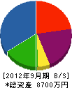 吉川商店 貸借対照表 2012年9月期