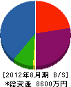 柴田組 貸借対照表 2012年8月期