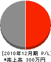 川村塗装店 損益計算書 2010年12月期