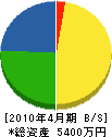 大熊電機 貸借対照表 2010年4月期
