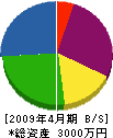 ヤケヤ 貸借対照表 2009年4月期