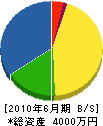 松本建設 貸借対照表 2010年6月期