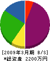 鷲尾工務店 貸借対照表 2009年3月期