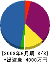 宮崎鉄工 貸借対照表 2009年6月期