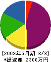 山本建築 貸借対照表 2009年5月期