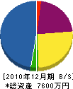 アサノ電工 貸借対照表 2010年12月期