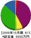 フィックス鹿児島 貸借対照表 2008年10月期