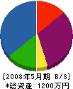 藤井組 貸借対照表 2008年5月期