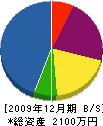 沖縄ガーデン 貸借対照表 2009年12月期