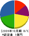 エイ・エム・シイ 貸借対照表 2009年10月期