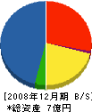豊伸産業 貸借対照表 2008年12月期