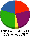 伸倉安全 貸借対照表 2011年5月期