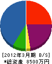 オオヤマ 貸借対照表 2012年3月期