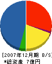 豊伸産業 貸借対照表 2007年12月期