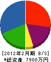 堂山産業 貸借対照表 2012年2月期
