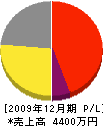 三栄電業社 損益計算書 2009年12月期