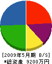 伊藤土建 貸借対照表 2009年5月期
