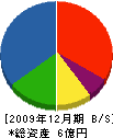鎌倉材木店 貸借対照表 2009年12月期