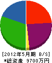 伸倉安全 貸借対照表 2012年5月期