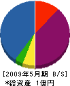 カスヤ電気商会 貸借対照表 2009年5月期