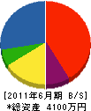 串本鋼材 貸借対照表 2011年6月期