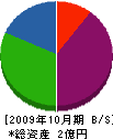 栃折組 貸借対照表 2009年10月期