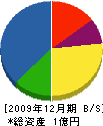 大鳳建設 貸借対照表 2009年12月期