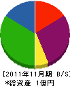 カタヤマ 貸借対照表 2011年11月期