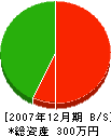 長田配管工業所 貸借対照表 2007年12月期
