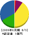 内山電気商会 貸借対照表 2009年6月期