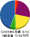 成田防災設備 貸借対照表 2009年6月期