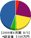 成田防災設備 貸借対照表 2009年6月期 成田防災設備 貸借対照表 2009年6月期