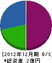 三栄工業 貸借対照表 2012年12月期