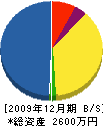 児玉電機商会 貸借対照表 2009年12月期