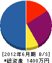 姫城電設 貸借対照表 2012年6月期