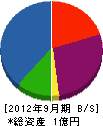 千葉エンジニアリング 貸借対照表 2012年9月期