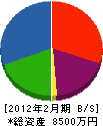 東日本通商 貸借対照表 2012年2月期