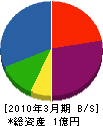 丸山工務店 貸借対照表 2010年3月期