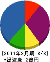 湘南ビルド 貸借対照表 2011年9月期