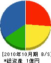 梅田土建 貸借対照表 2010年10月期