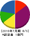 松崎興業 貸借対照表 2010年7月期
