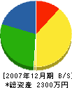 仙波水道工業所 貸借対照表 2007年12月期