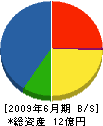 窪田工業 貸借対照表 2009年6月期