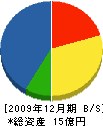 齋藤建設 貸借対照表 2009年12月期
