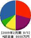 大栄工業 貸借対照表 2009年2月期
