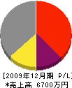 姫路建設工業 損益計算書 2009年12月期
