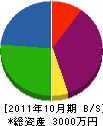 丸川設備 貸借対照表 2011年10月期