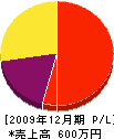 鬼怒川造園 損益計算書 2009年12月期