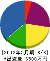 長谷川電気工事 貸借対照表 2012年5月期